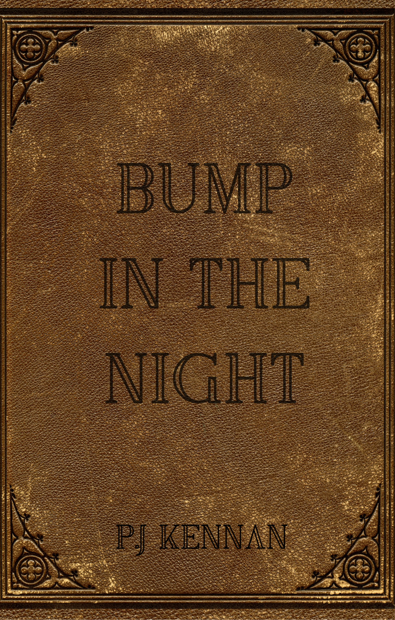 Bump In The Night (Hardcover)