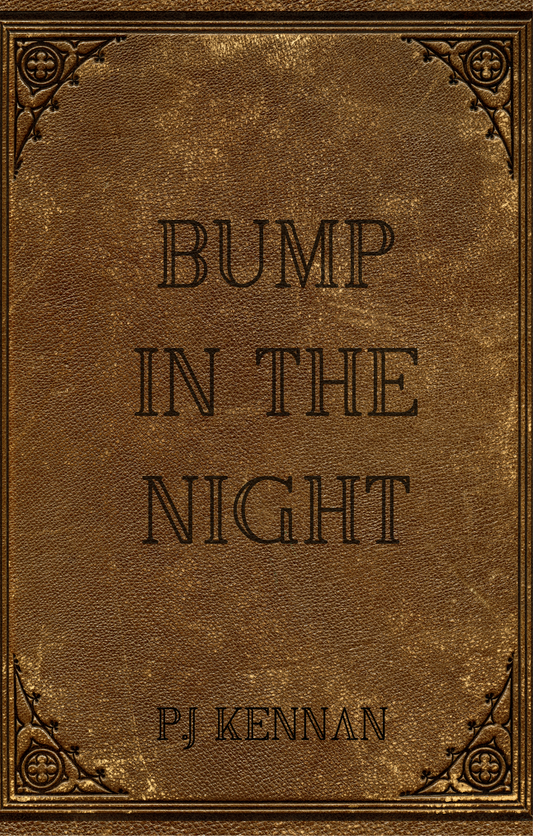 Bump In The Night (Hardcover)